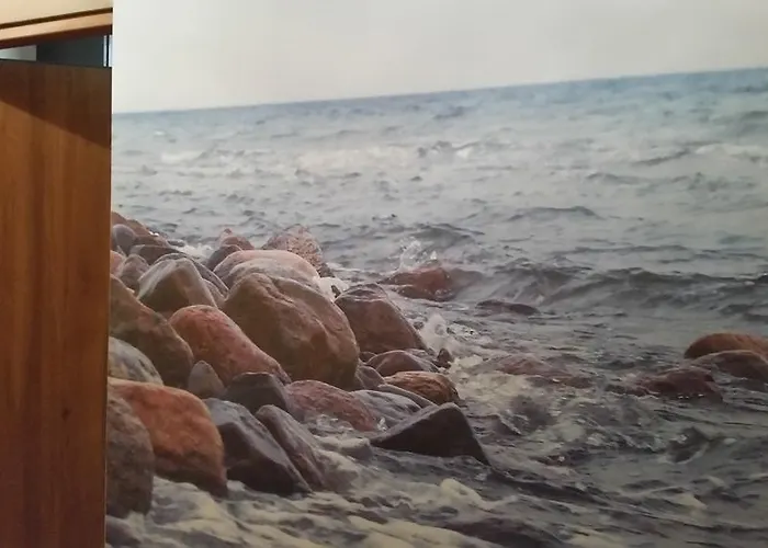 Navyblue Daire Gdynia